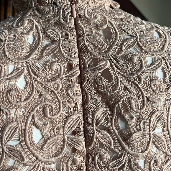 Zara Dress, nude lace sheath with flutter sleeve & neck sz XS - Picture 10 of 10